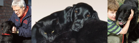 OSCAR Pet Products Business - Mobile Pet Food Franchise