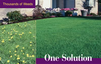 The TruGreen Service and Solution
