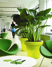 Urban Planters Franchise