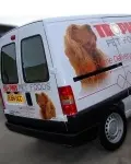 Judith Thomas Trophy Pet Foods Pembrokeshire