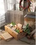 BUMPER SEASON FOR RIVERFORD ORGANIC