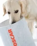 It's new, it's natural, it's the best dog food