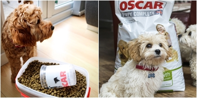 Oscar Pet Foods Franchise - South Derbyshire Resale Oscar Pet Foods Franchise - South Derbyshire Resale