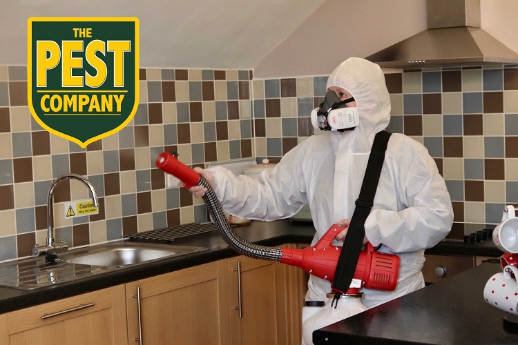 The Pest Company | Pest Management Franchise
